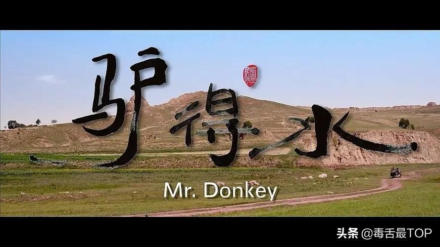 近十年高分国产电影（15部近10年评分最高的国产电影） 第9张