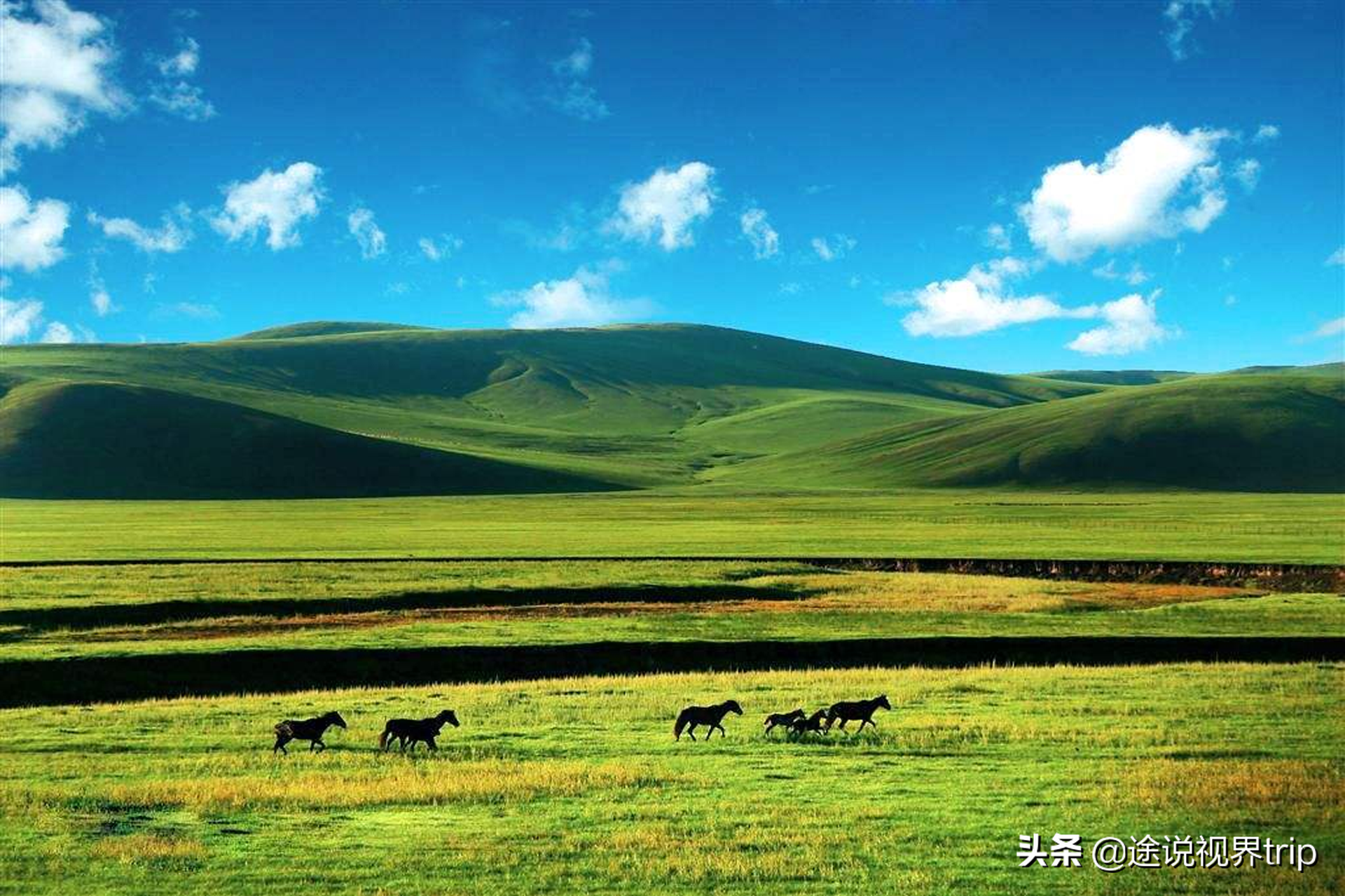 中国面积最大的城市排名前十（国内十大面积最大的城市） 第3张