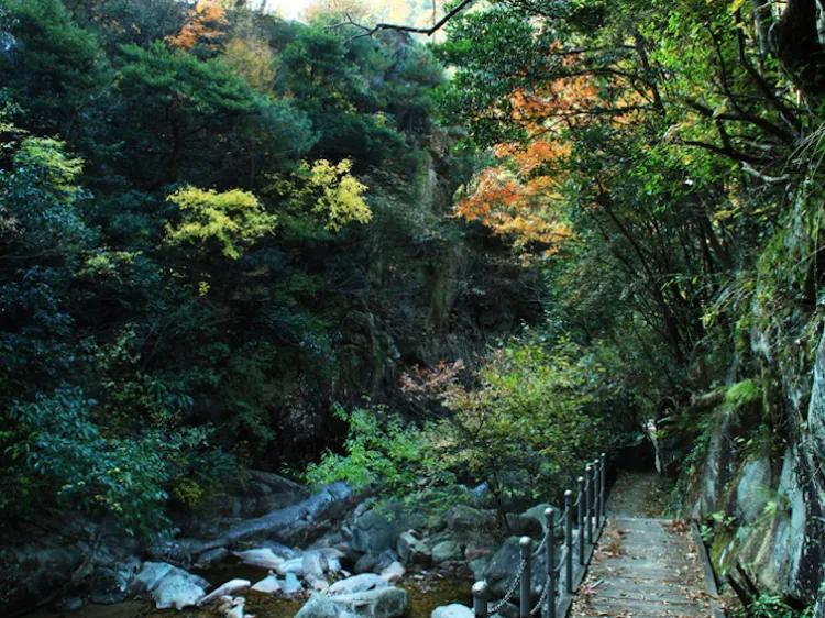 安庆十二个值得推荐的旅游景点 安庆有什么好玩的地方 第11张