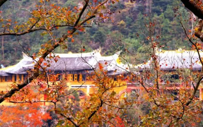 温州地区十大秋季旅游景点推荐（盘点温州秋天适合去游玩的地方） 第19张