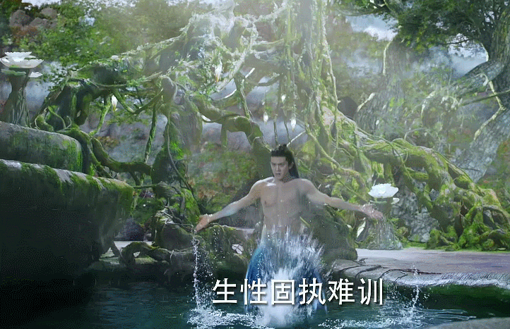 图片 第13张