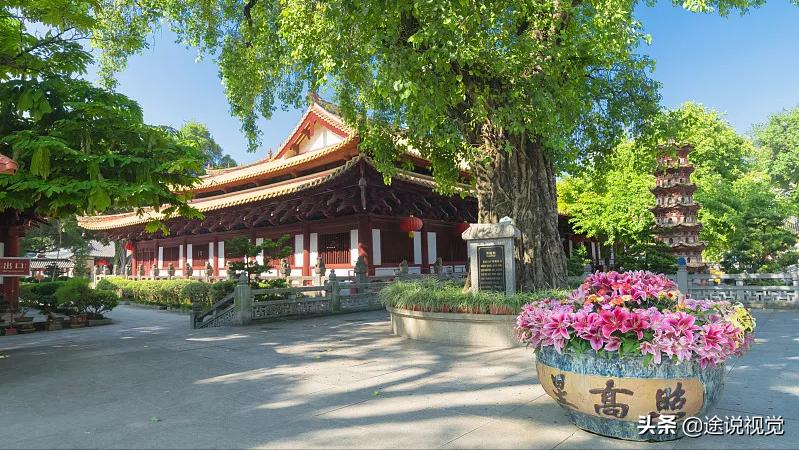 最值得去的广州著名景点（盘点必打卡的广州十大旅游景点） 第11张