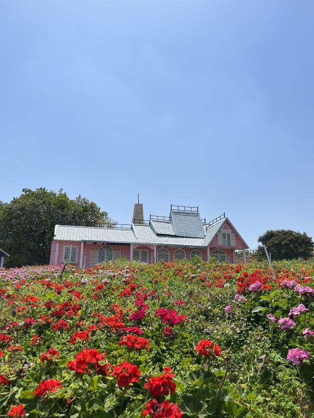 东莞哪里好玩旅游景区（东莞一日游7大景点推荐） 第7张