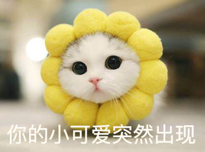 cute是什么意思？理解错就尴尬了 第5张