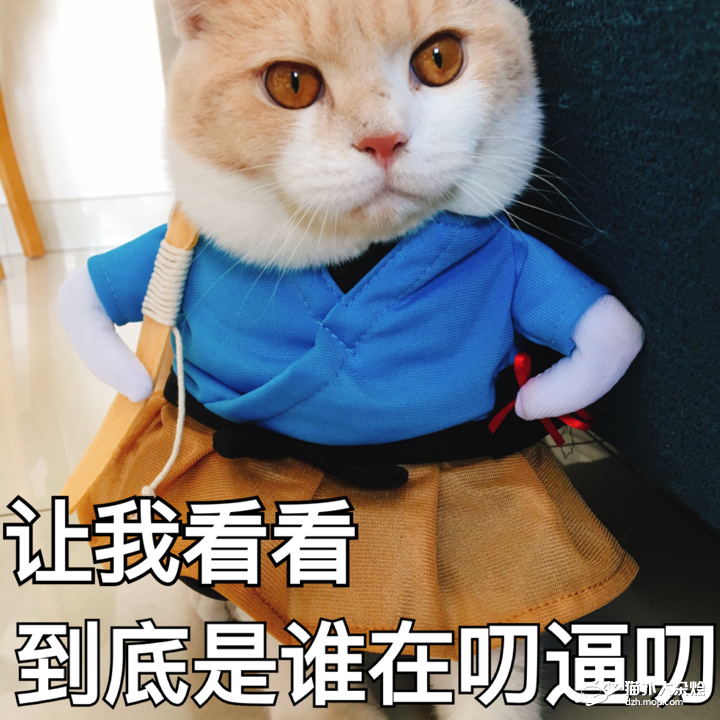 cute是什么意思？理解错就尴尬了 第7张