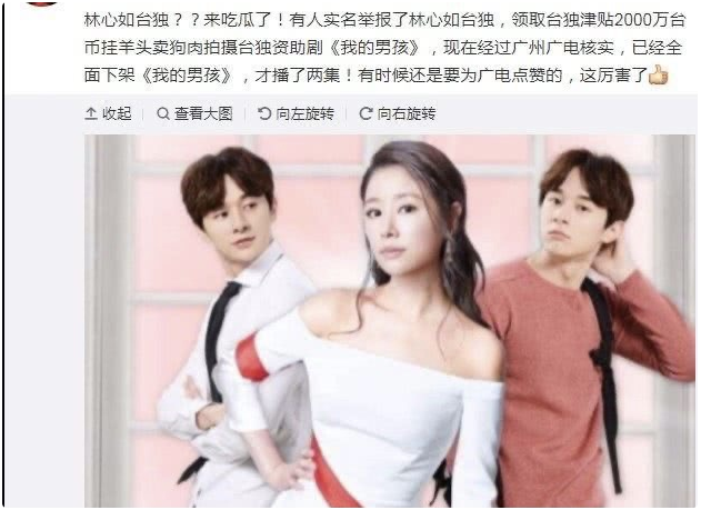 林心如事件是怎么回事？详解林心如的人设崩塌史 第57张