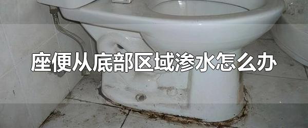 座便从底部区域渗水怎么办（马桶使用注意事项有哪些？） 第1张