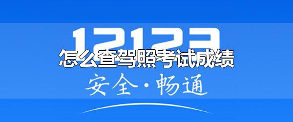 怎么查驾照考试成绩（驾照查询官网登录入口） 第1张