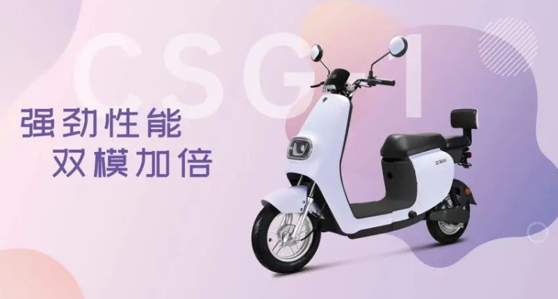 电瓶车排名前十名（国产品牌电动车排名前十名） 第3张