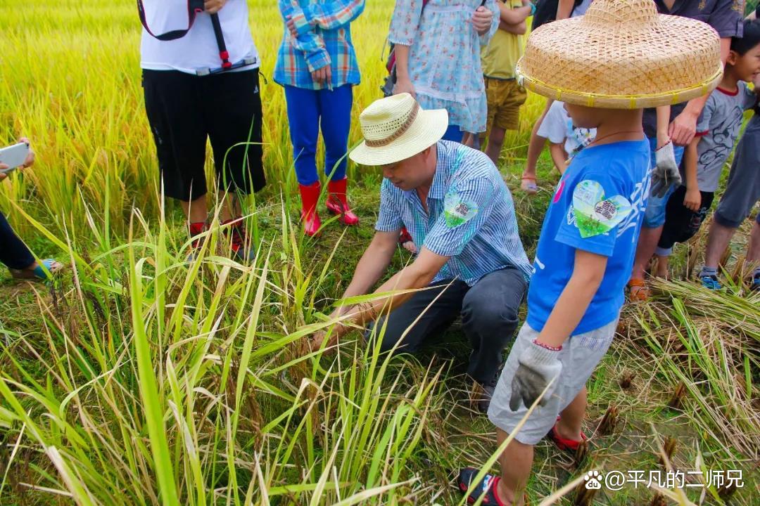 江门一日游必去的地方（江门自由行必去的七个景点） 第19张