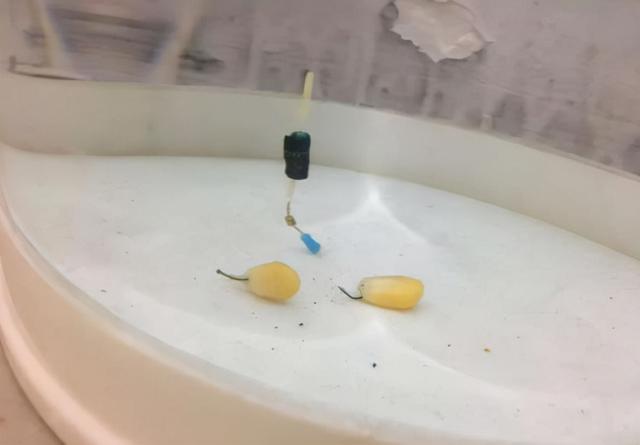 调漂不会找底，不如试试这两个方法 第13张