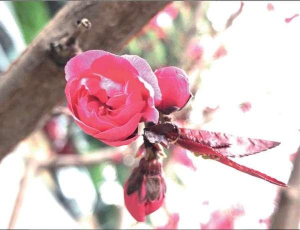 曝光过度 第3张