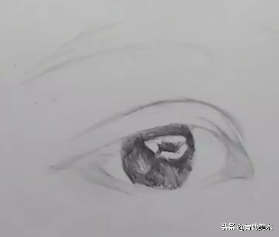 新手入门必备知识，学会了这些素描基础教程，你也能画得这么好 第5张