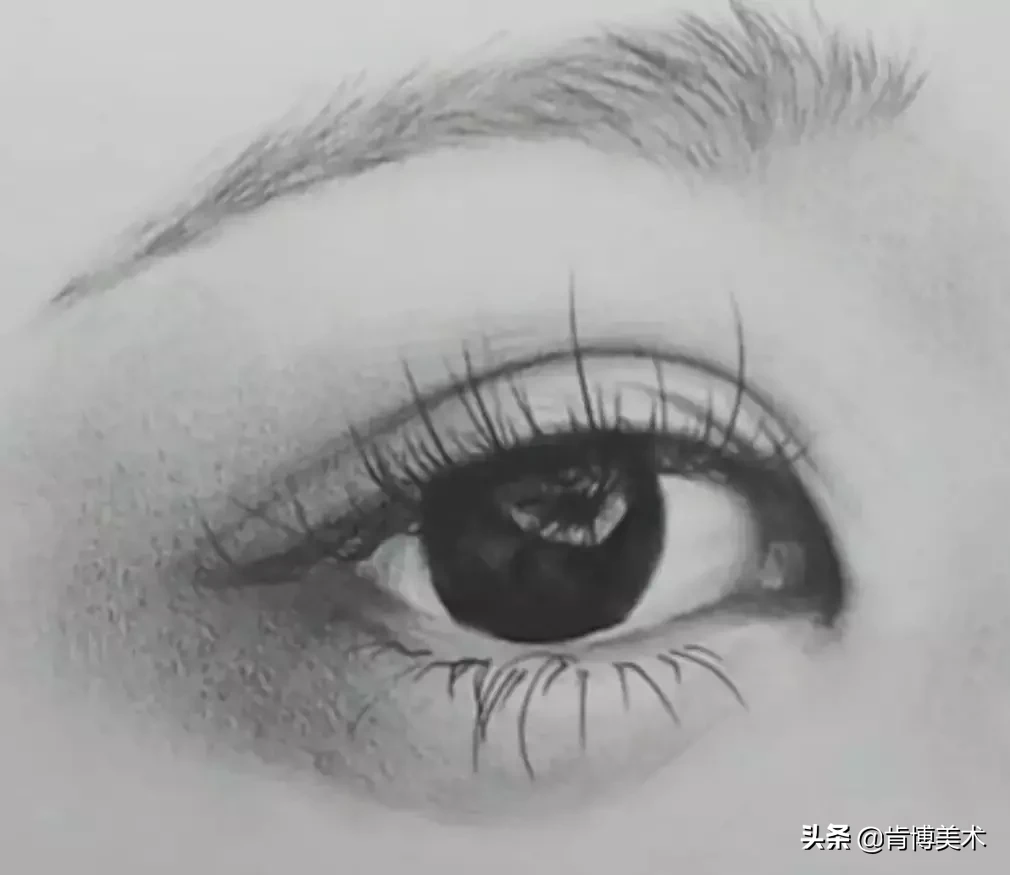 新手入门必备知识，学会了这些素描基础教程，你也能画得这么好 第9张