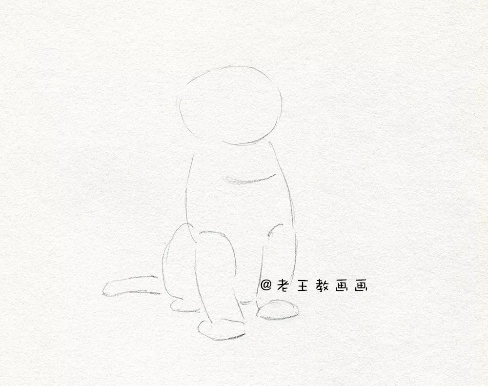 零基础素描教程，教你画猫咪 第5张