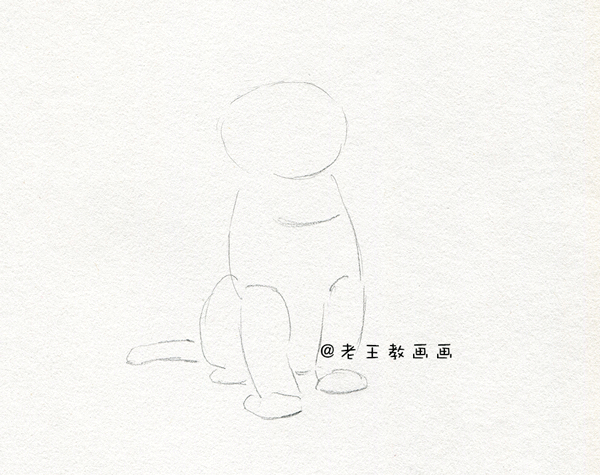 零基础素描教程，教你画猫咪 第23张