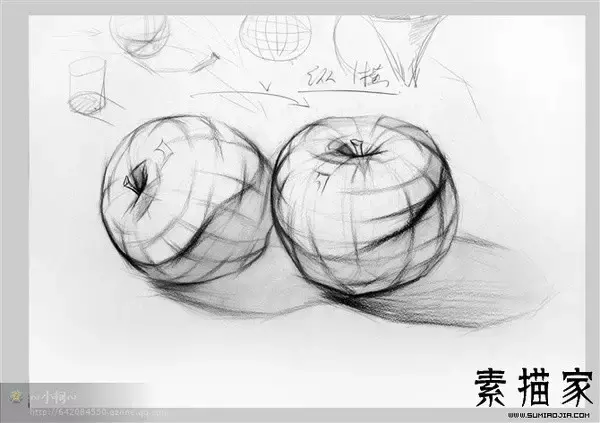 手把手教你从零基础开始学素描 第39张