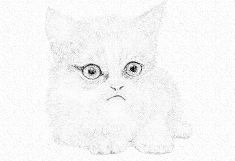 彩铅画猫咪教程步骤图 第3张