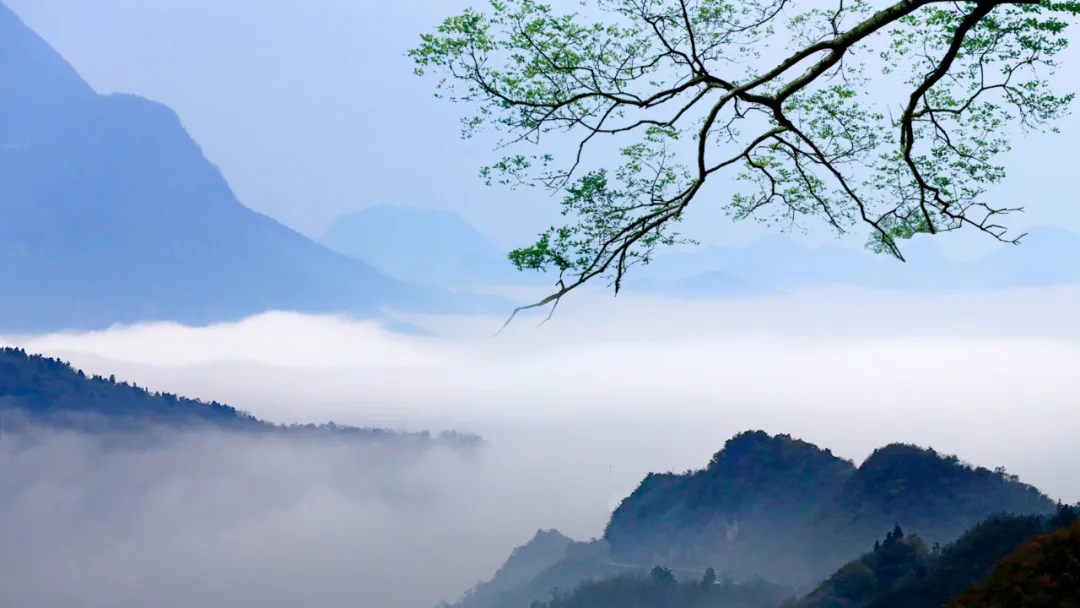 白居易最经典的10首诗，字字珠玑，惊艳千年！ 第3张