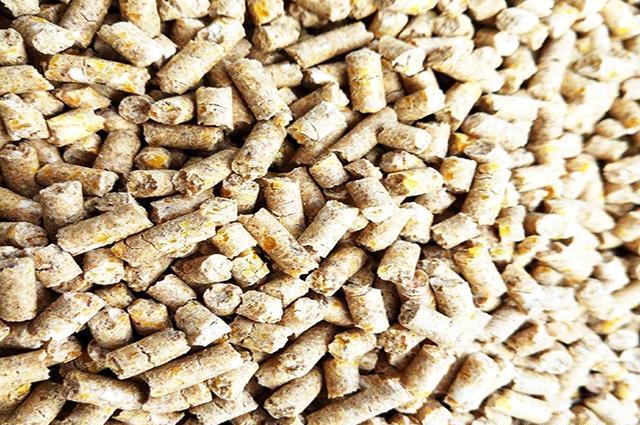 用自制窝料和饵料，半天钓了18斤鱼 第7张