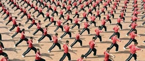 同步行动带来令人惊讶的社会联系 第1张
