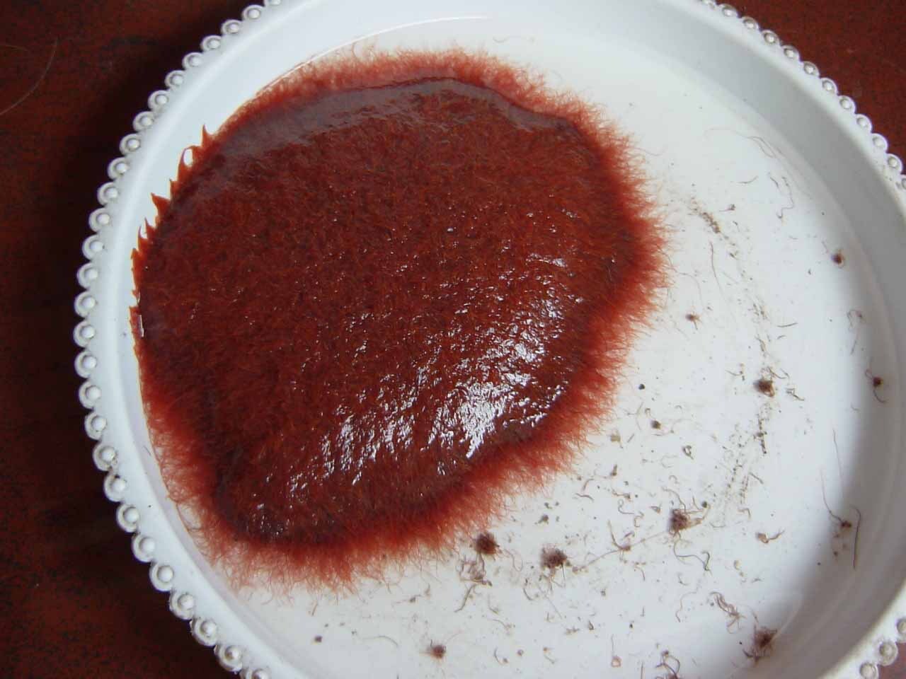 野生鲤鱼的最爱，不是玉米粒，也不是麦粒，而是这三种饵料 第5张
