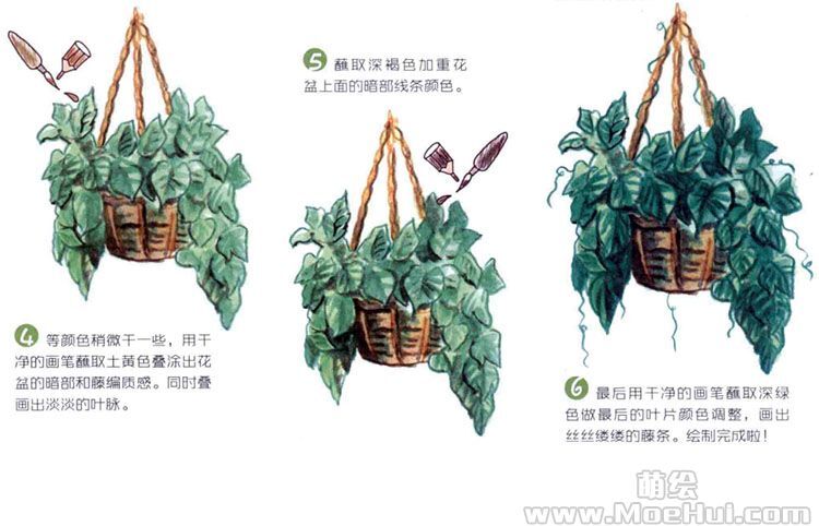 水溶色铅笔入门-练习篇：悬挂的藤蔓 第1张