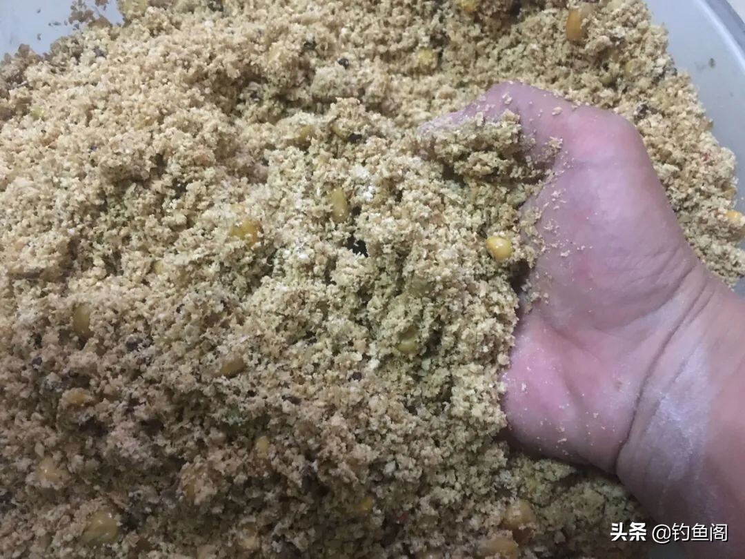 麸皮白面配玉米，这就是你们要的草鱼窝料，好用的老配方 第7张