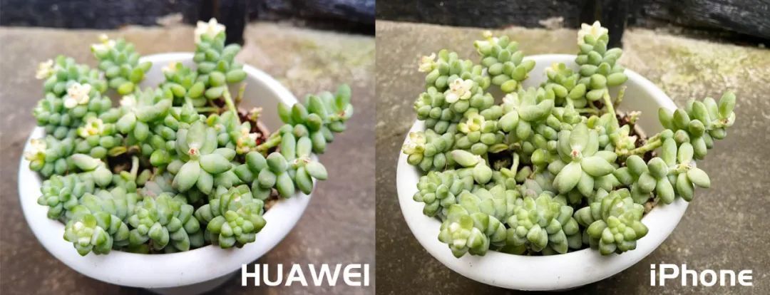 一篇文章帮你彻底搞懂白平衡 第31张
