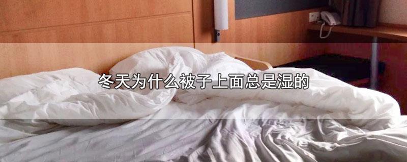 冬天为什么被子上面总是湿的 第1张