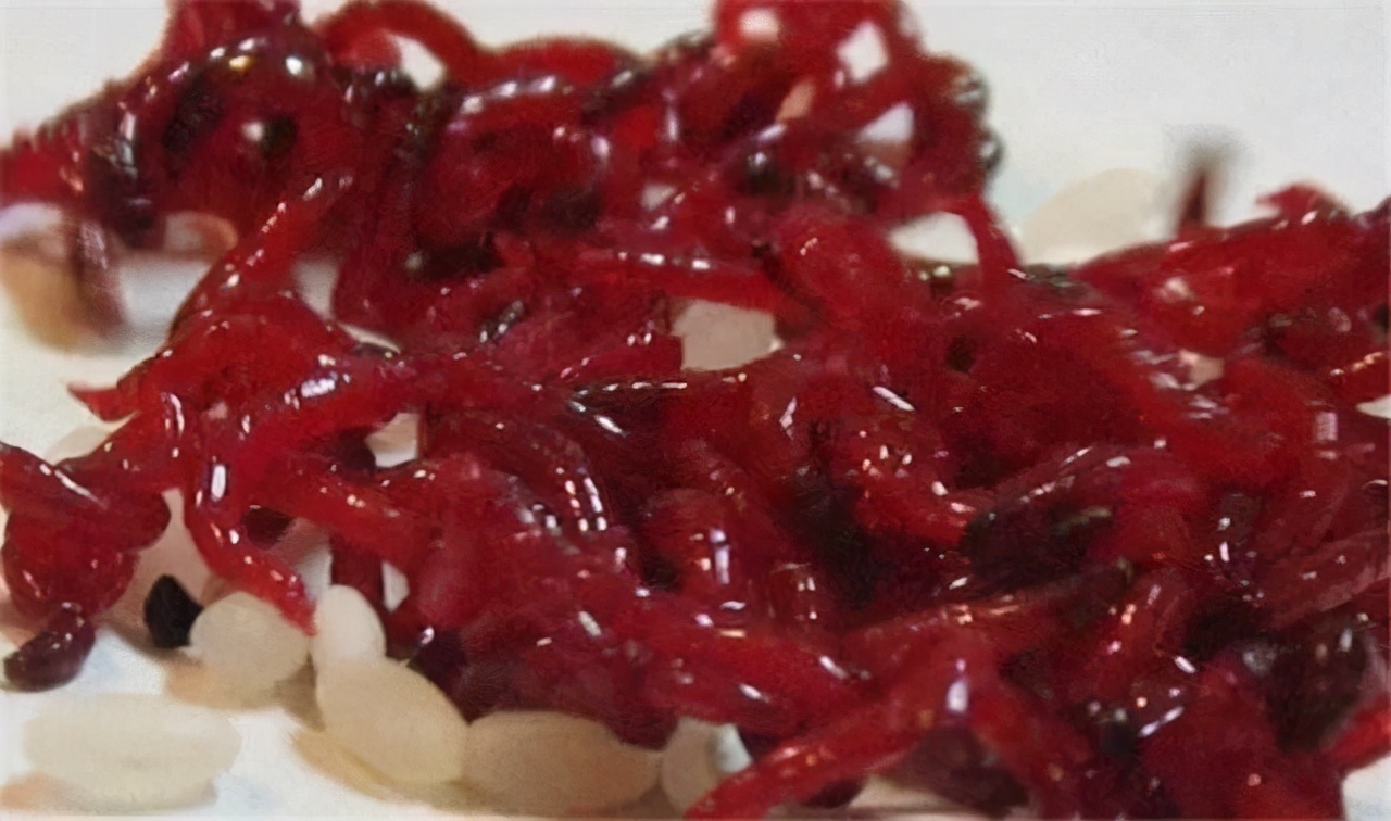 除了麦粒和蚯蚓，这几种饵料，用来野钓鲫鱼，中钩都是大鲫鱼 第9张