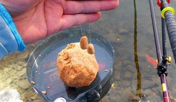 饵料附钩性太差，入水之后很快就会脱落怎么办 第1张