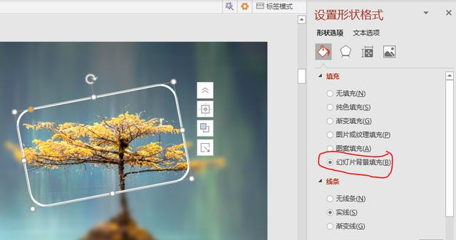 ppt入门：幻灯片背景填充，让演示瞬间高大上 第11张