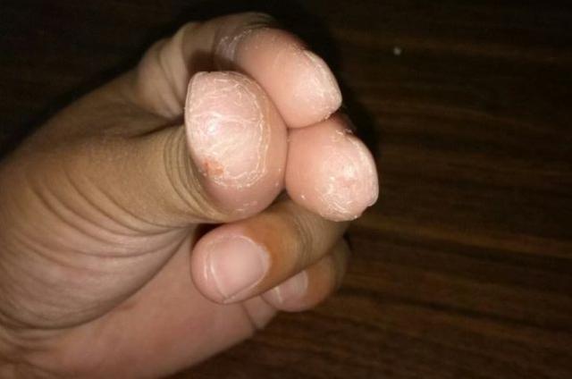 别怪我没提醒你，饵料味道太重反而会出问题 第7张