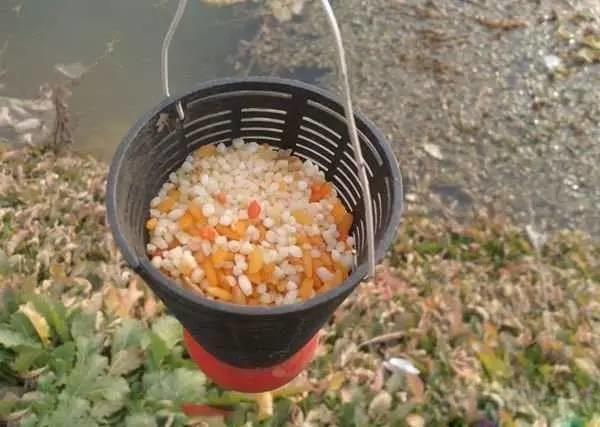 只要掌握这几点，小白开出的饵料也能连杆 第9张