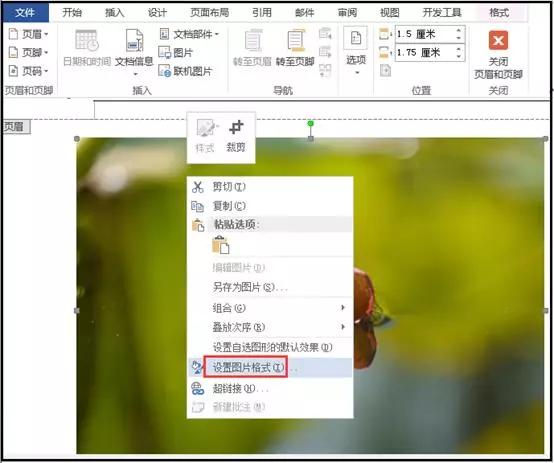 word如何正确插入背景图片并使之平铺整张A4 第7张