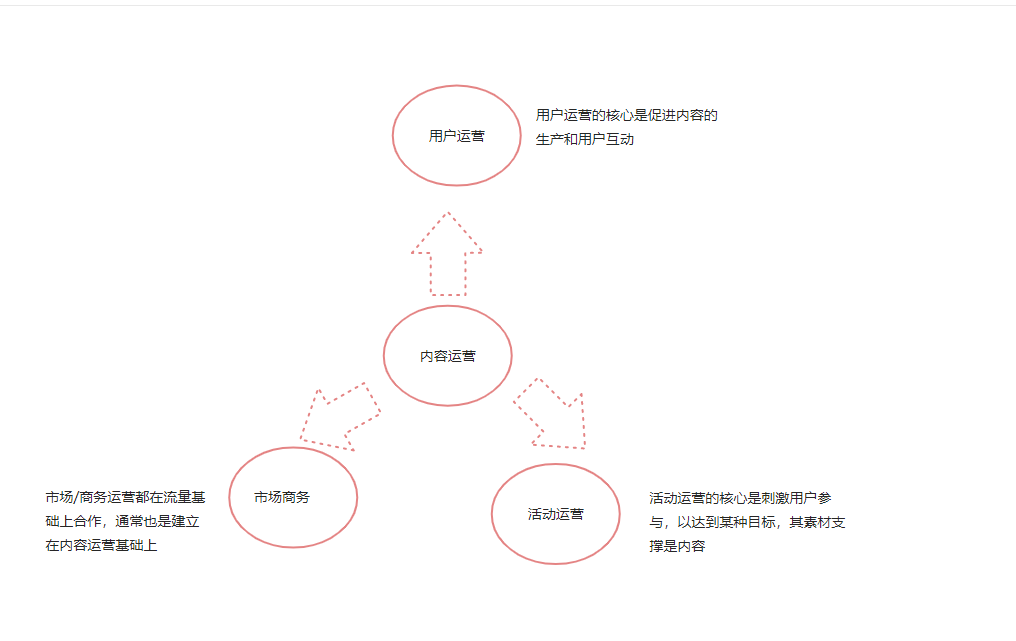 鸟哥笔记,职场成长,麦琪,运营能力,运营方案,个人成长,内容运营,运营入门 第1张