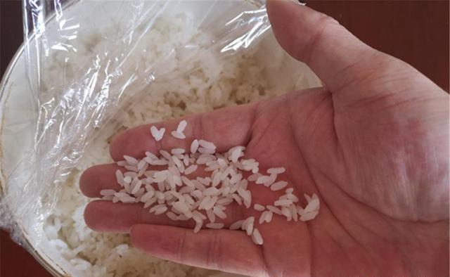 秋钓鲫鱼，用身边这些东西做饵料 第5张