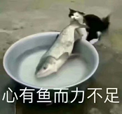 Word空白页老是删不掉？教你5个超简单的方法，1秒就能KO所有 第1张