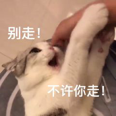 Word空白页老是删不掉？教你5个超简单的方法，1秒就能KO所有 第13张
