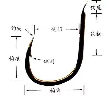 手竿钓鲢鳙：为何伊豆完胜伊势尼 第11张