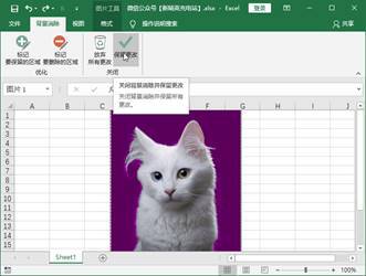 Excel也能换证件照背景色？不会PS的你必须学会这招 第7张