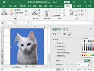 Excel也能换证件照背景色？不会PS的你必须学会这招 第11张