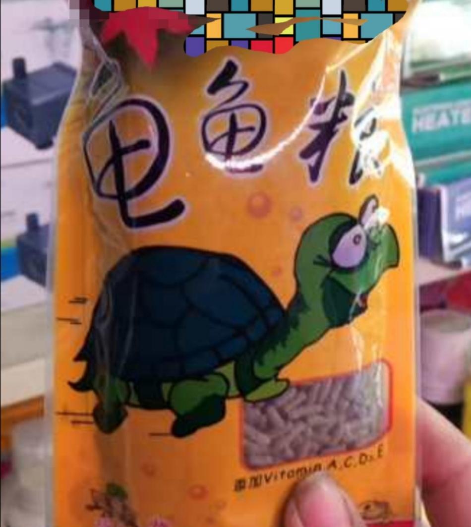 乌龟吃什么食物大全 第5张