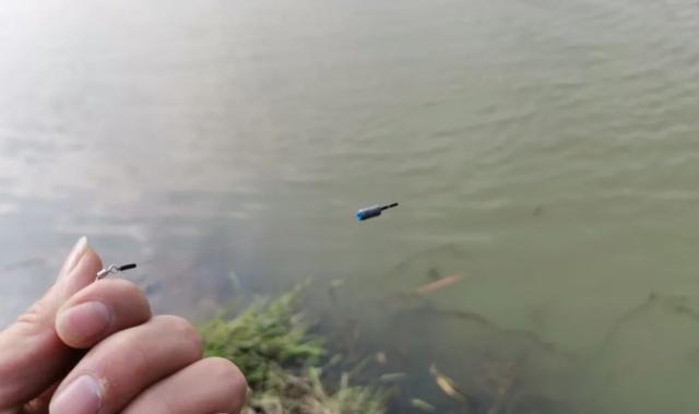 入伏后钓鲢鳙，总是调不好漂，怎么办 第5张