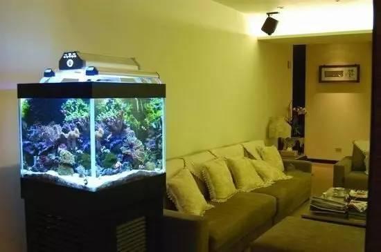 夏季室内有效降温的8个方法 第17张