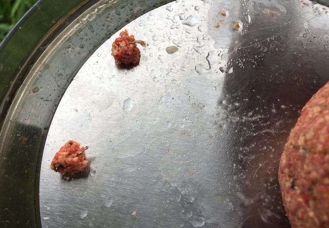 拉饵抽窝钓鲫鱼反被杂鱼烦死？注意一个小细节就可能连杆 第1张