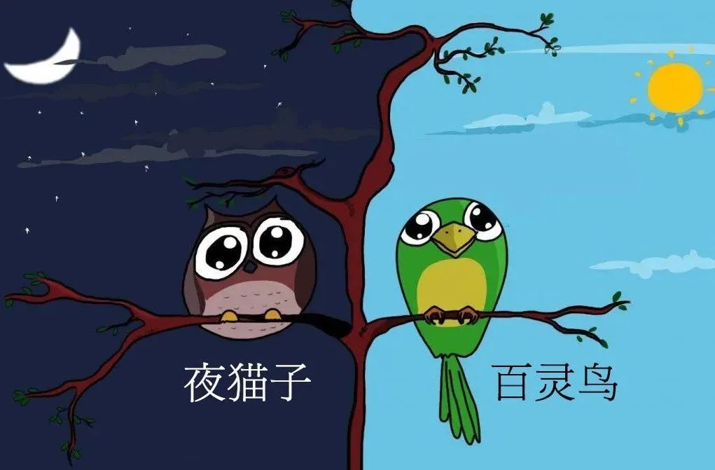 早睡一小时，可以降低23%的抑郁风险，两小时40% 第1张