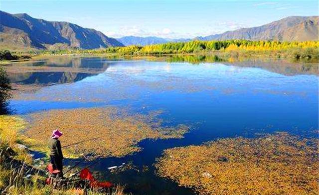 秋钓大鲫鱼：长竿短线七星漂，钓水草、钓背阴 第7张