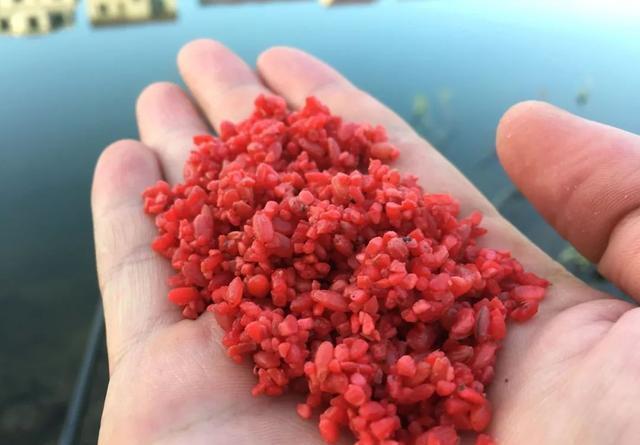 钓鲫鱼重在诱，窝料打太多实属浪费 第3张